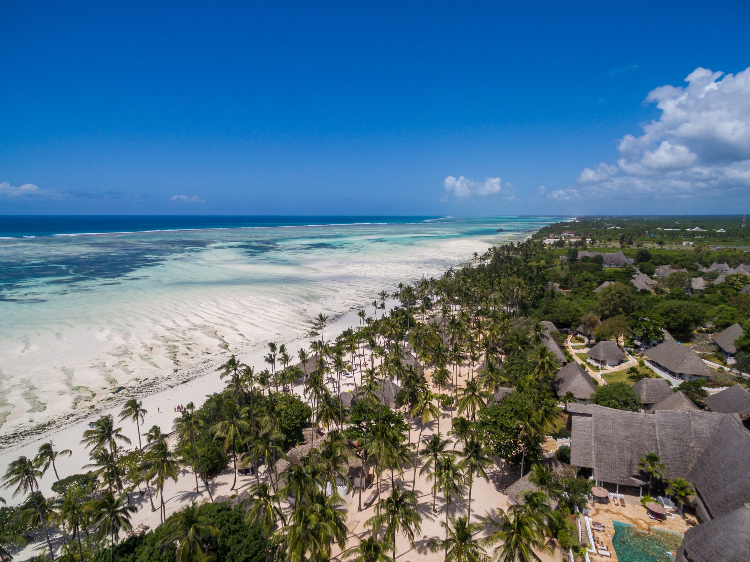 An aerial shot of houses by the palm trees on the beach by the ocean captured in Zanzibar, Africa