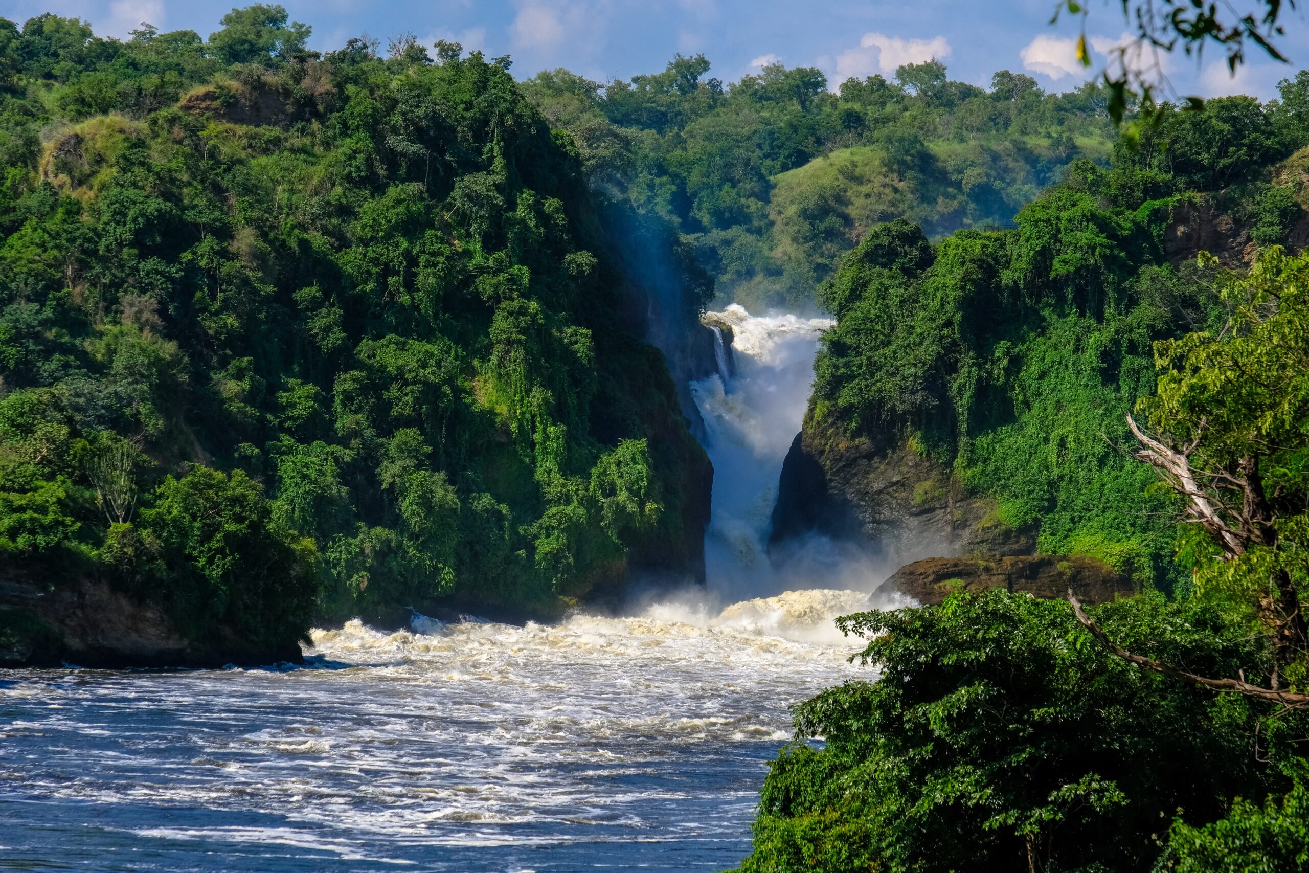 A waterfall in the middle of cliffs with trees and plants on a sunny day